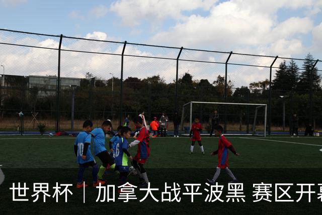 世界杯｜加拿大战平波黑 赛区开幕式表演“翻车”